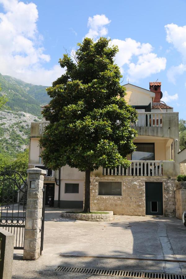 Apartmani Dijana 2 Kotor Extérieur photo