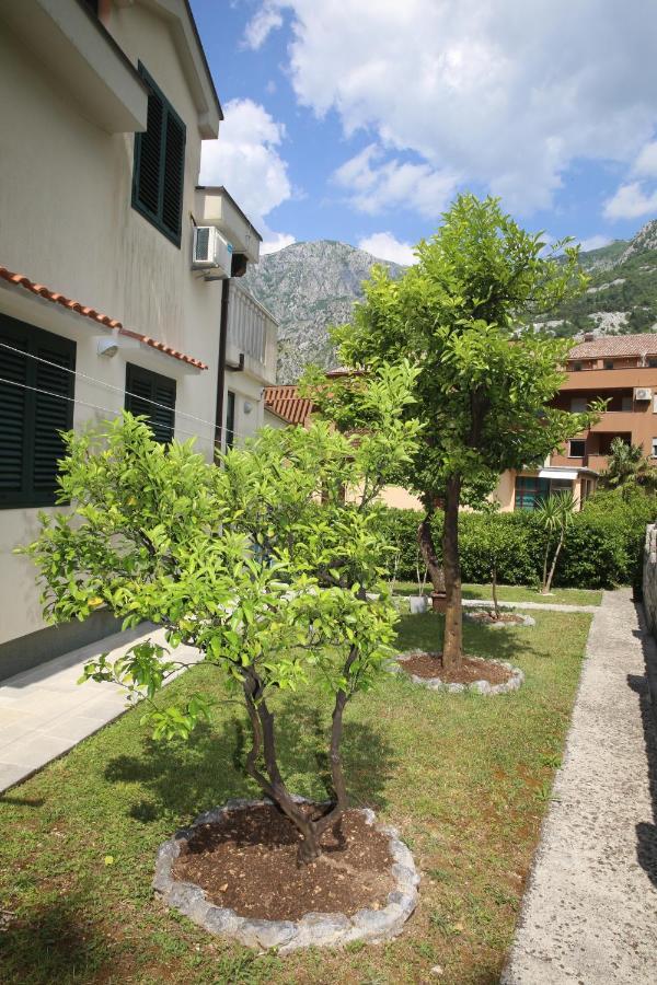 Apartmani Dijana 2 Kotor Extérieur photo
